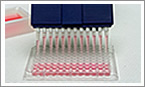 multichannel pipette calibration